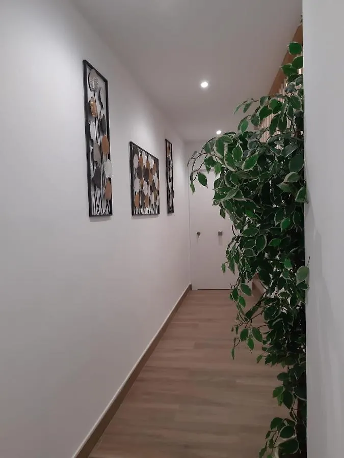 Vive El Renacimiento: Hornazo Apartment Baeza